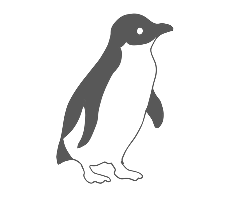 Bicheno Penguin